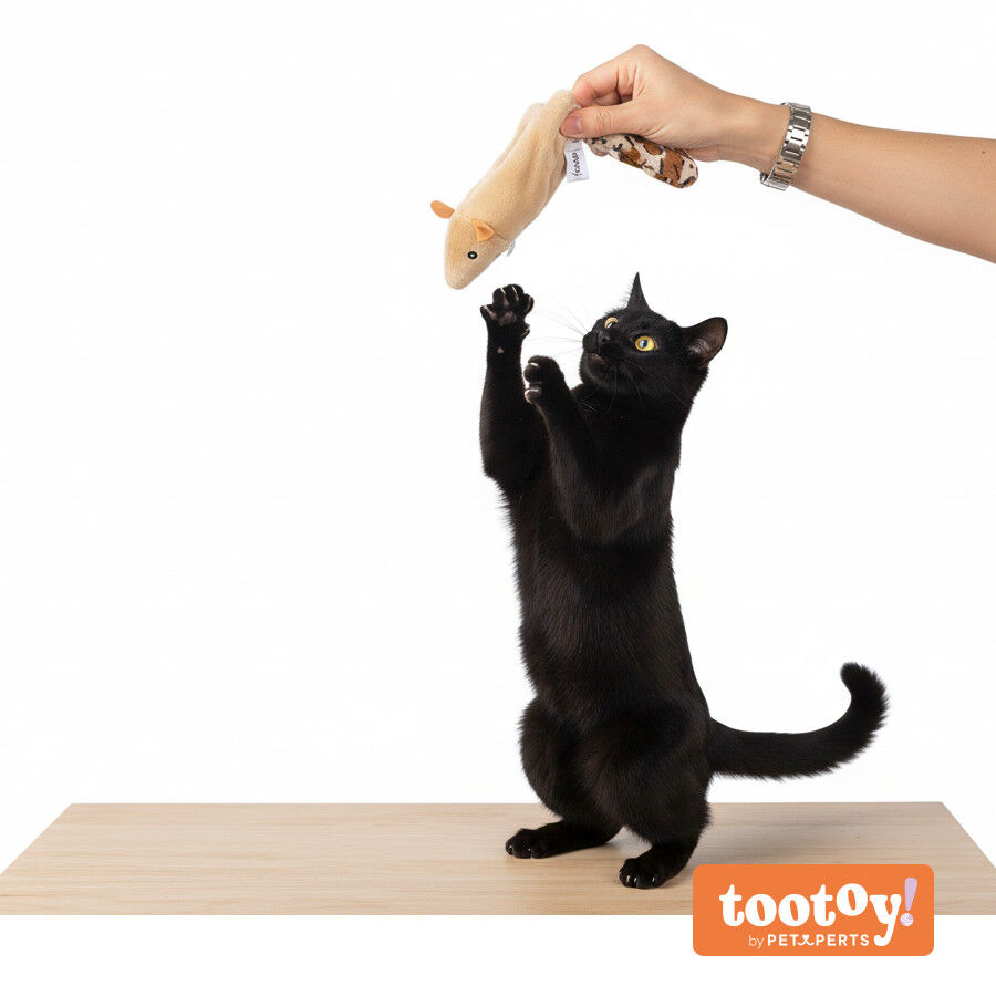 Tootoy! Juguete Interactivo Skinneeez para gatos, , large indicador imagen numero 11